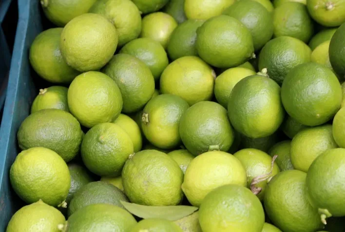 Imagem da matéria: Preço da lima ácida tahiti sobe e mercado deve se manter firme até outubro