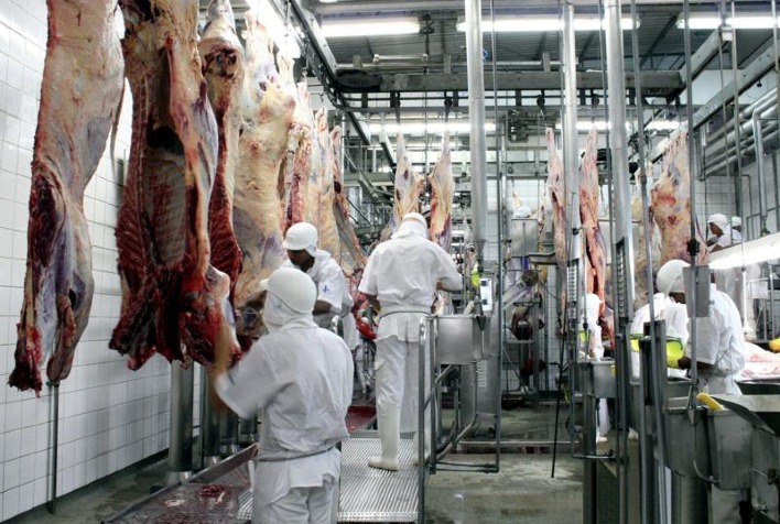 Abate de bovinos no Brasil deve cair para 40 milhões em 2026, projeta Abiec