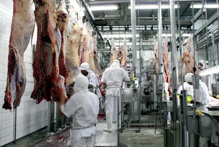 Abate de bovinos no Brasil deve cair para 40 milhões em 2026, projeta Abiec