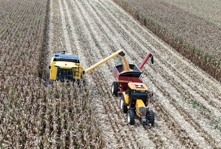 Agricultor do Paraná estabelece recorde nacional com 369,92 sacas de milho por hectare