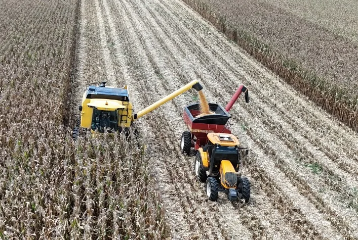 Agricultor do Paraná estabelece recorde nacional com 369,92 sacas de milho por hectare