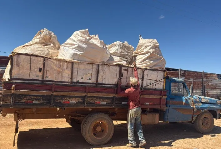 Agrodefesa apreende 5 toneladas de embalagens de agrotóxicos em Goiás