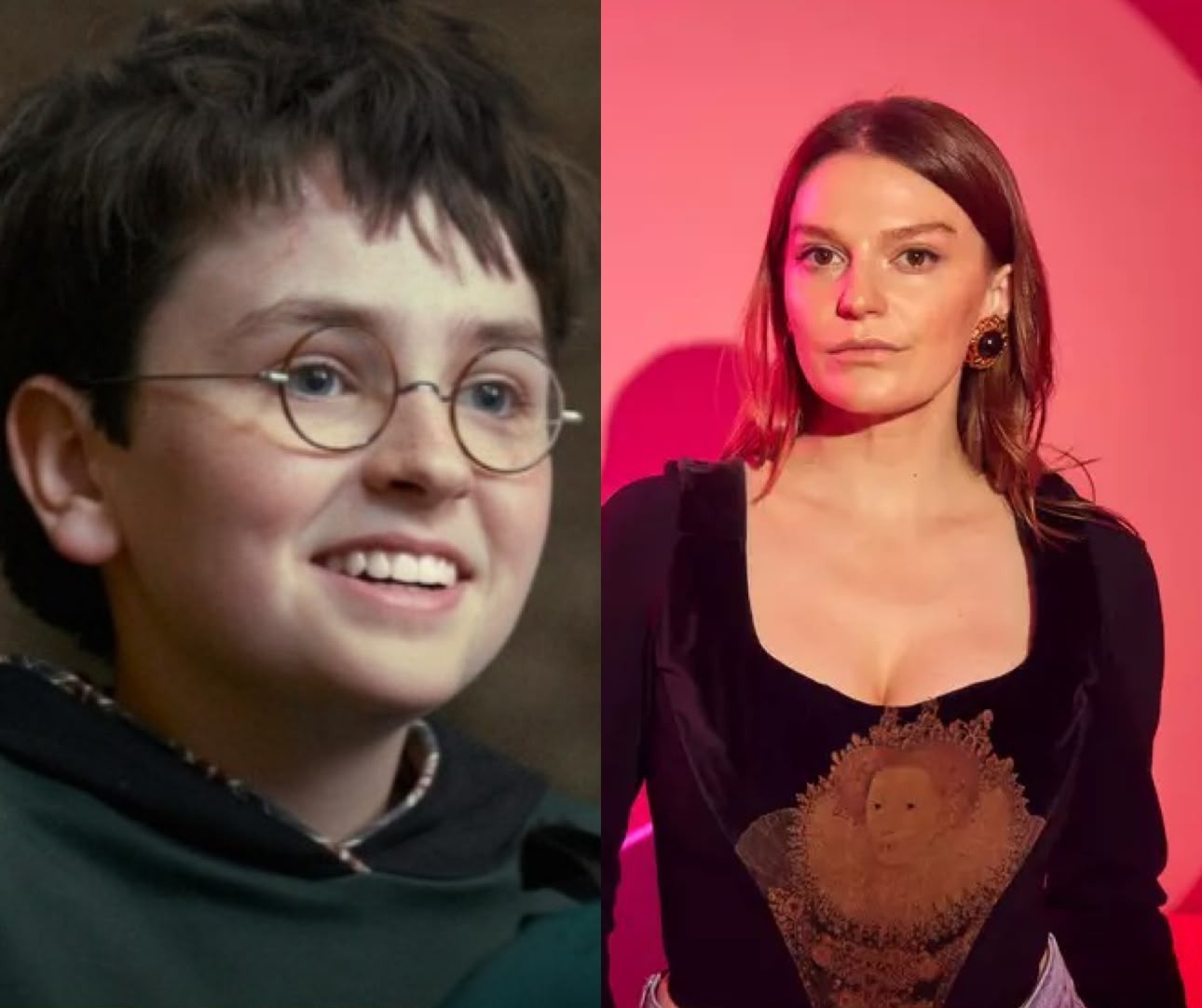 Ally Pankiw recusa direção de 'Harry Potter' e critica financiamento de transfobia