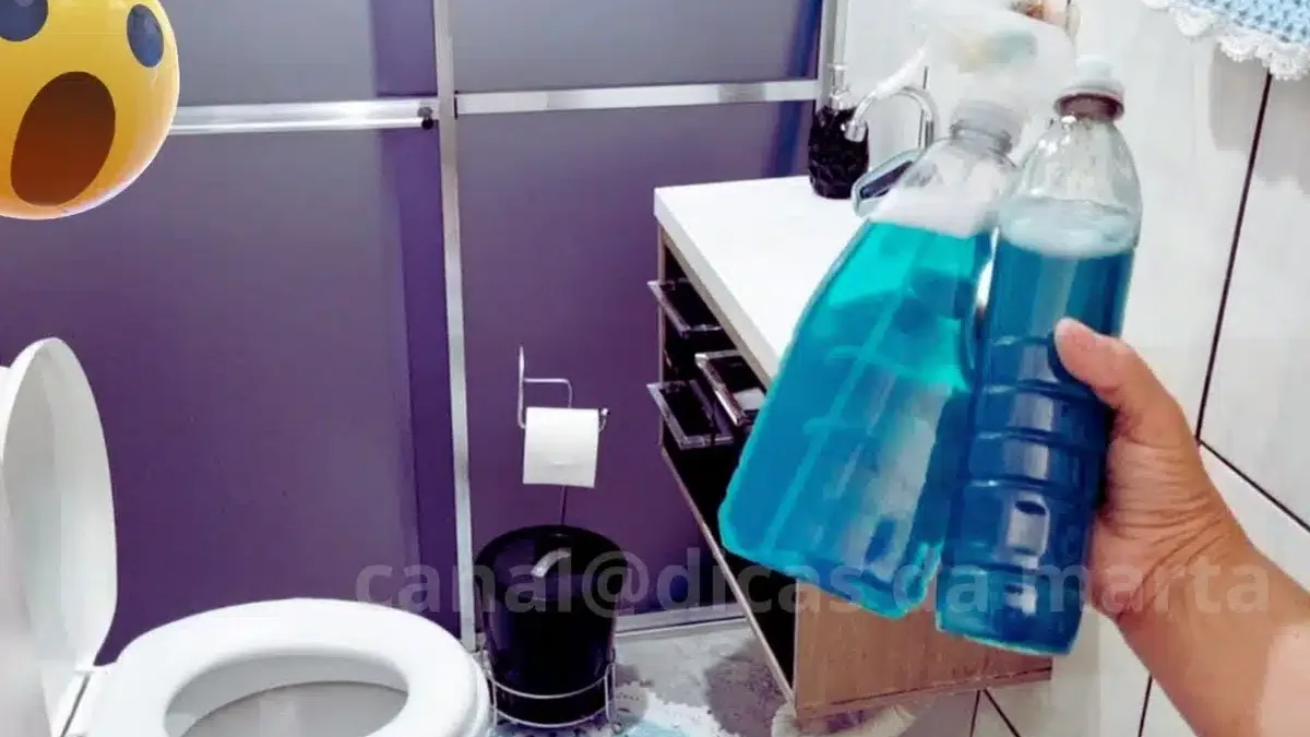 Aprenda a deixar seu vaso branquinho e perfumado com dicas práticas de limpeza