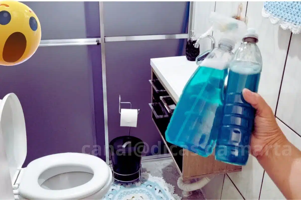 Aprenda a deixar seu vaso branquinho e perfumado com dicas práticas de limpeza