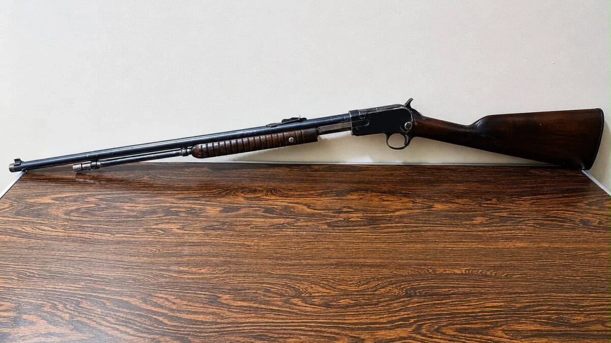 BAEP prende homem por porte ilegal de arma na Rodovia Anhanguera em Pirassununga