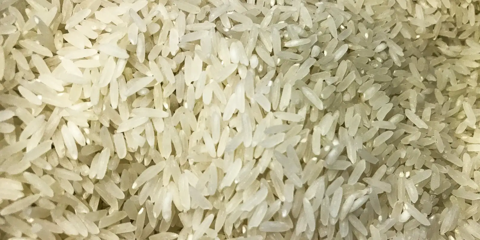 Brasil envia 10 toneladas de arroz à Colômbia após terremoto devastador