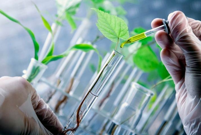 Brasil pode liderar mercado global de bioinsumos com biodiversidade e inovação