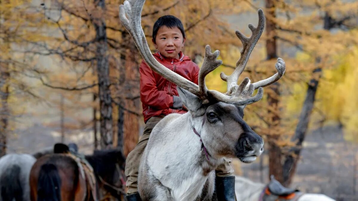 COP17 da Desertificação inicia em Ulaanbaatar, Mongólia, com foco na restauração de terras