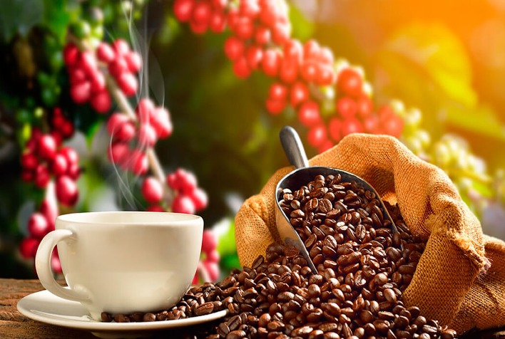 Café mantém preços firmes, mas negociações devem ser limitadas nesta terça-feira
