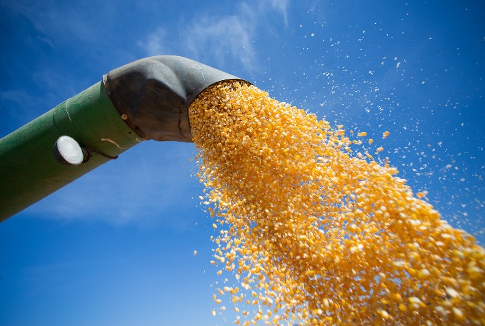 Consultoria alerta produtores de milho a evitarem vendas apressadas em meio a incertezas climáticas e demanda aquecida nos EUA.