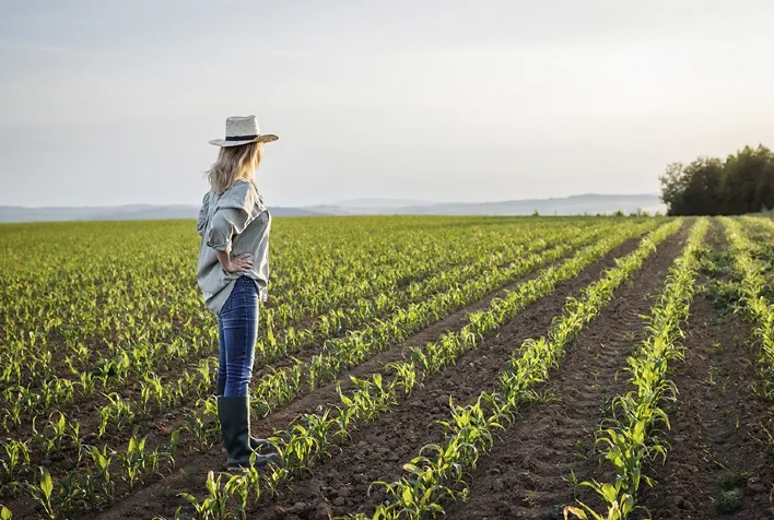 CropLife Brasil lança guia prático para uso seguro de agrotóxicos nas lavouras