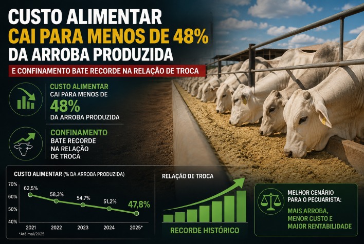 Custo alimentar cai para 47,9% da arroba no Sudeste e relação de troca atinge recorde