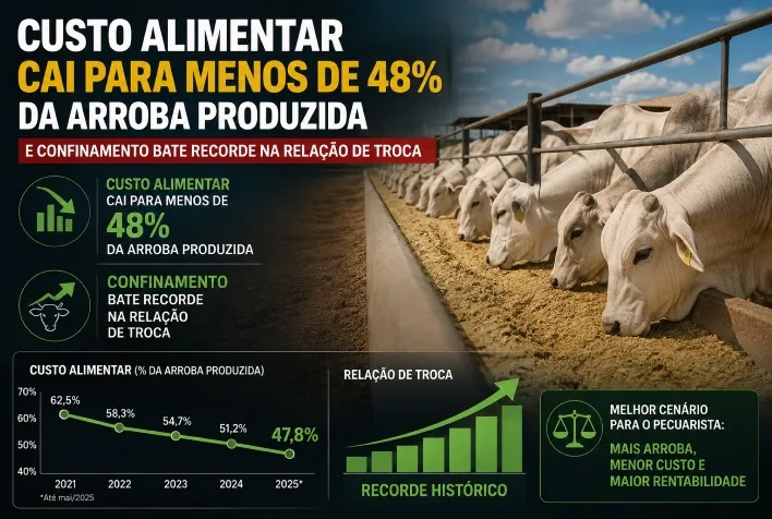 Custo alimentar cai para 47,9% da arroba no Sudeste e relação de troca atinge recorde