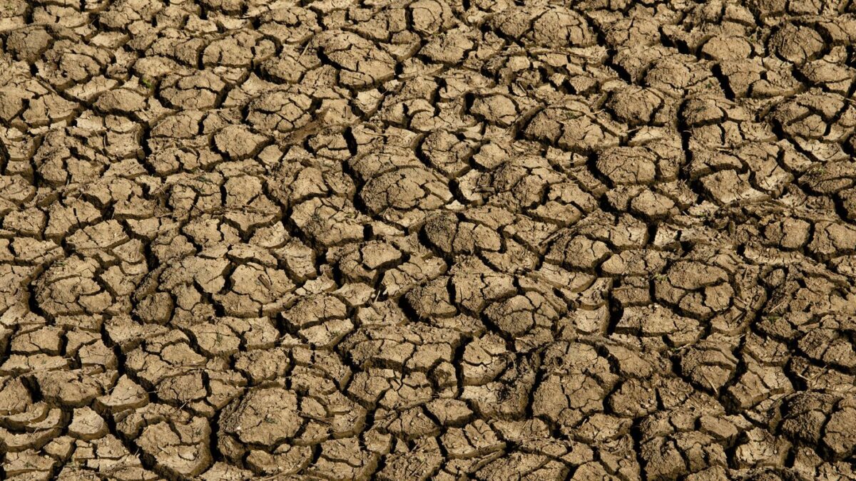 Desertificação no Brasil afeta 39 milhões e compromete segurança hídrica e alimentar