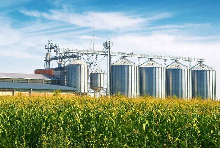 Estoque parado eleva custos no agronegócio e demanda nova gestão financeira