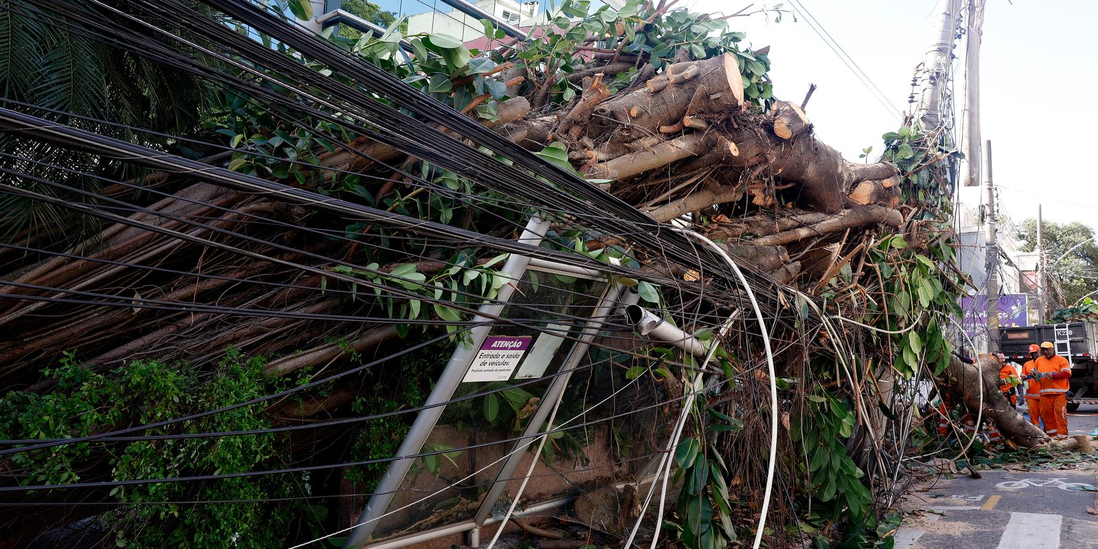 Eventos climáticos extremos pressionam concessionárias de energia no Brasil