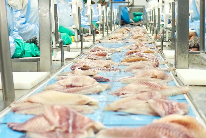 Exportações da piscicultura brasileira caem 34% no primeiro semestre de 2026, mas setor se recupera no segundo trimestre