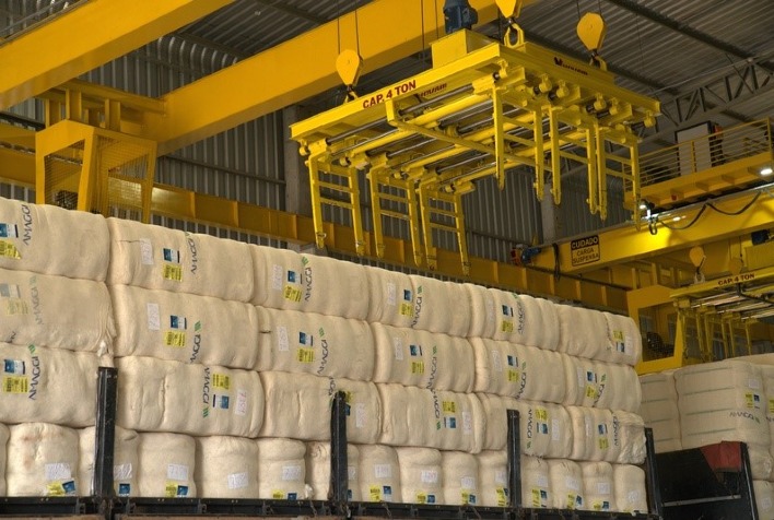 Exportações de algodão do Brasil crescem 21,8% em julho e superam US$ 262 milhões