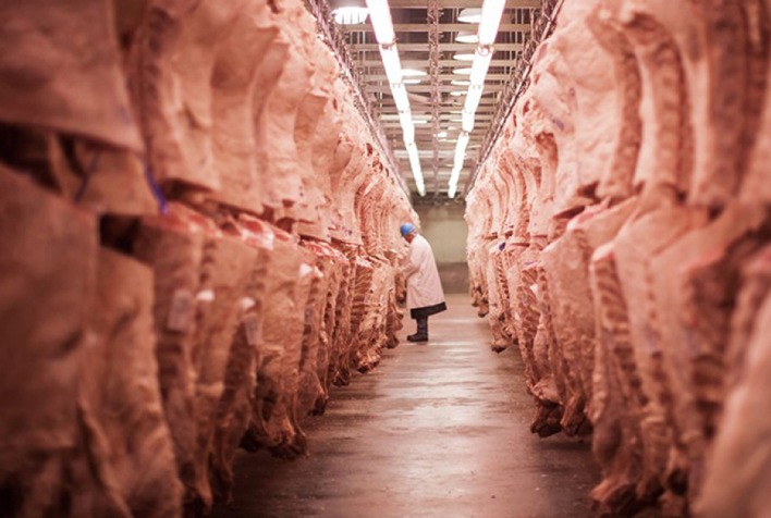 Exportações de carne bovina do Brasil chegam a US$ 11,43 bilhões em 2026, alta de 28,3%