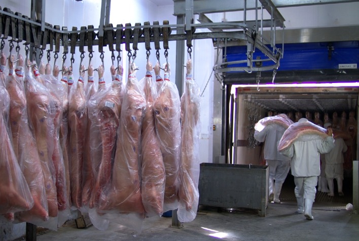 Exportações de carne suína do Brasil crescem 3,7% em julho, totalizando 131,5 mil toneladas