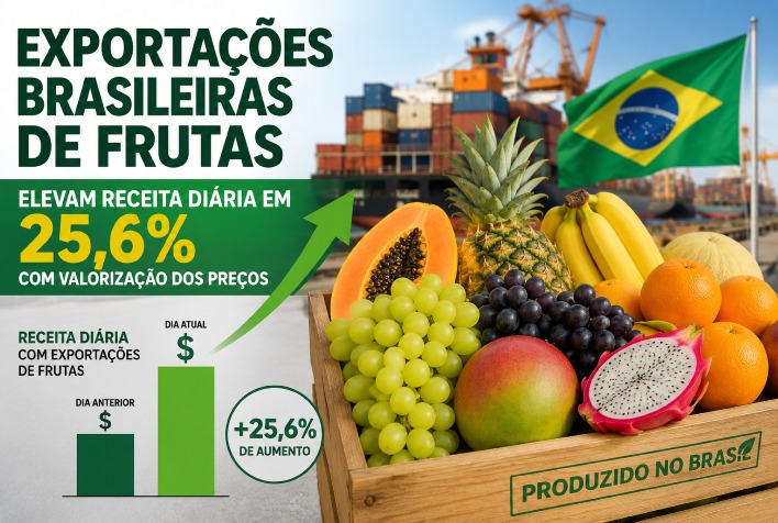 Exportações de frutas do Brasil crescem 25,6% em receita diária em agosto de 2026