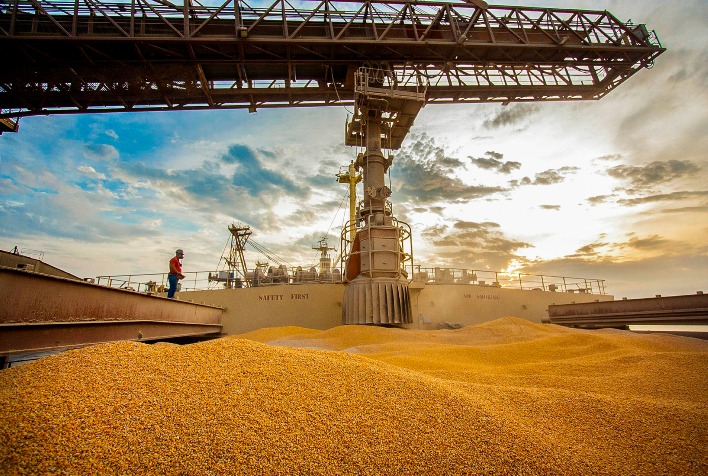 Exportações de milho do Brasil somam 1,94 milhão de toneladas em julho e devem crescer em agosto