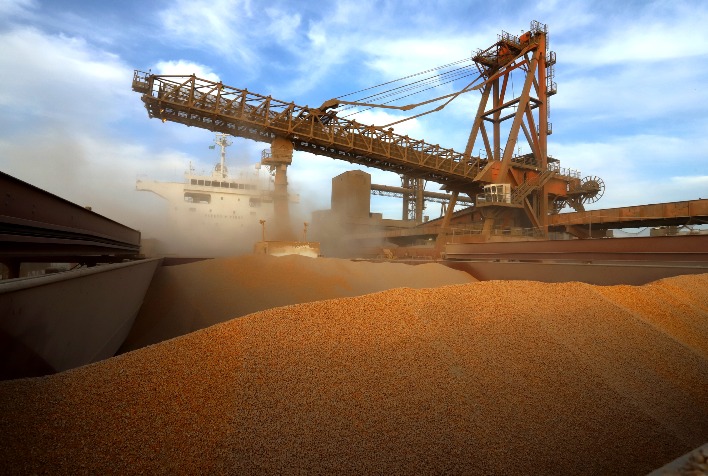 Exportações de milho do Brasil superam 2,2 milhões de toneladas em agosto, mas caem 32% na média diária