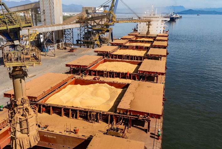 Exportações de soja do Brasil devem alcançar 114 milhões de toneladas em 2026, projeta ANEC