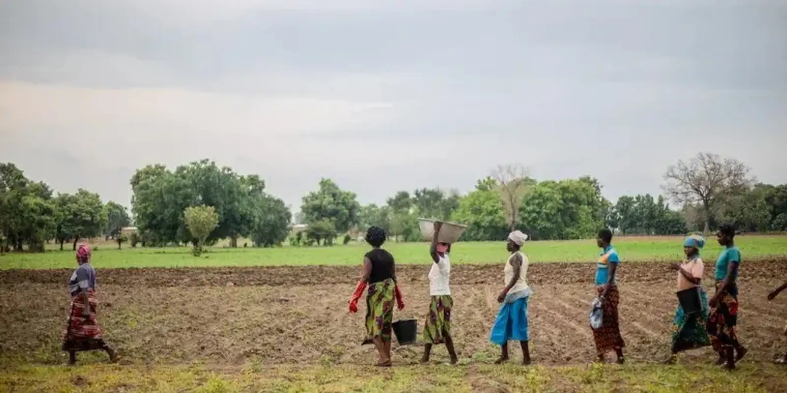 Grande Muralha Verde restaura 1,66 milhão de hectares no Sahel, diz UNCCD