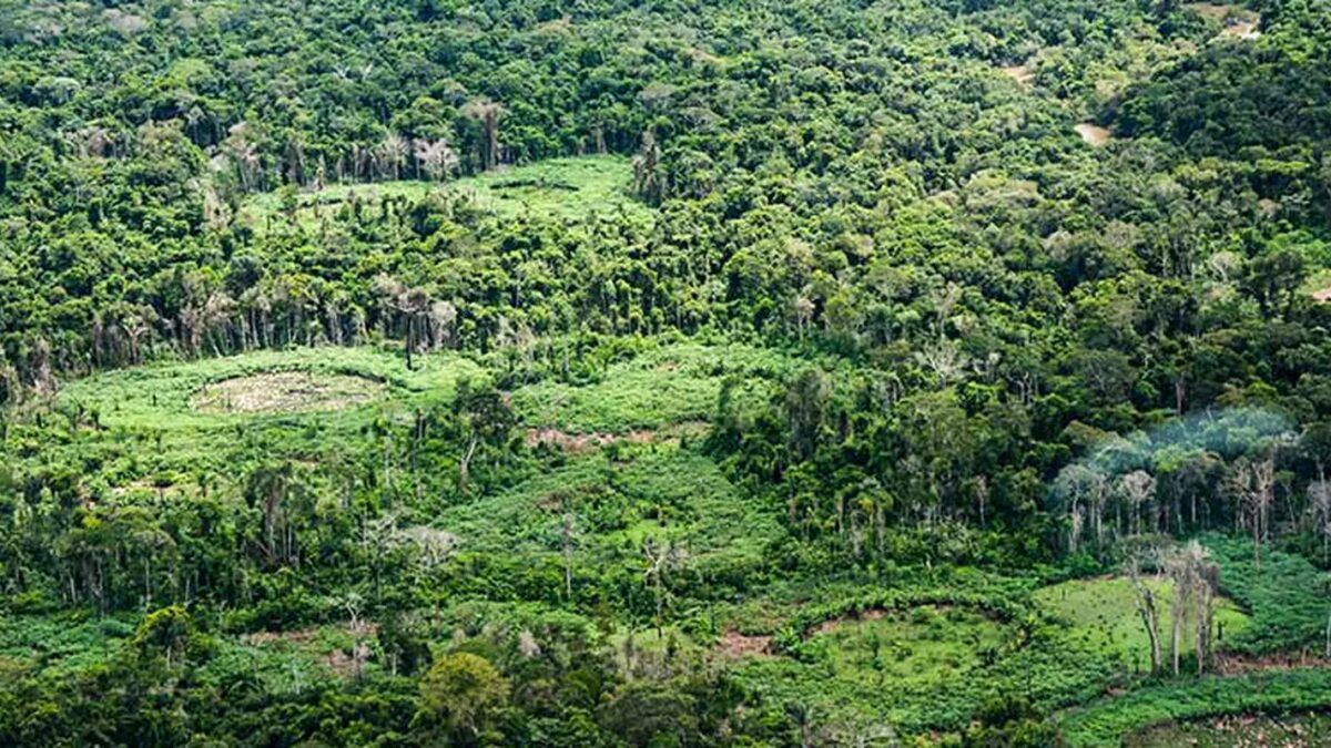 Indígenas da Amazônia catalogam 15 mil espécies para proteger biodiversidade