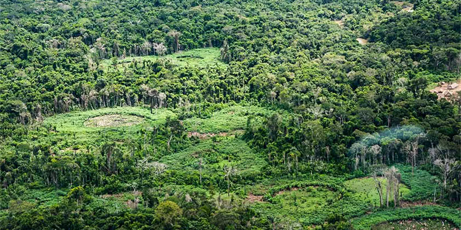 Indígenas da Amazônia catalogam 15 mil espécies para proteger biodiversidade