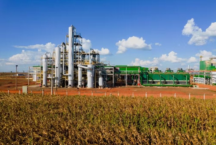 Lallemand integra biotecnologia para impulsionar inovação no agronegócio brasileiro