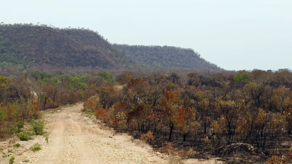 MapBiomas: Brasil perde vegetação nativa e aumenta vulnerabilidade ao El Niño