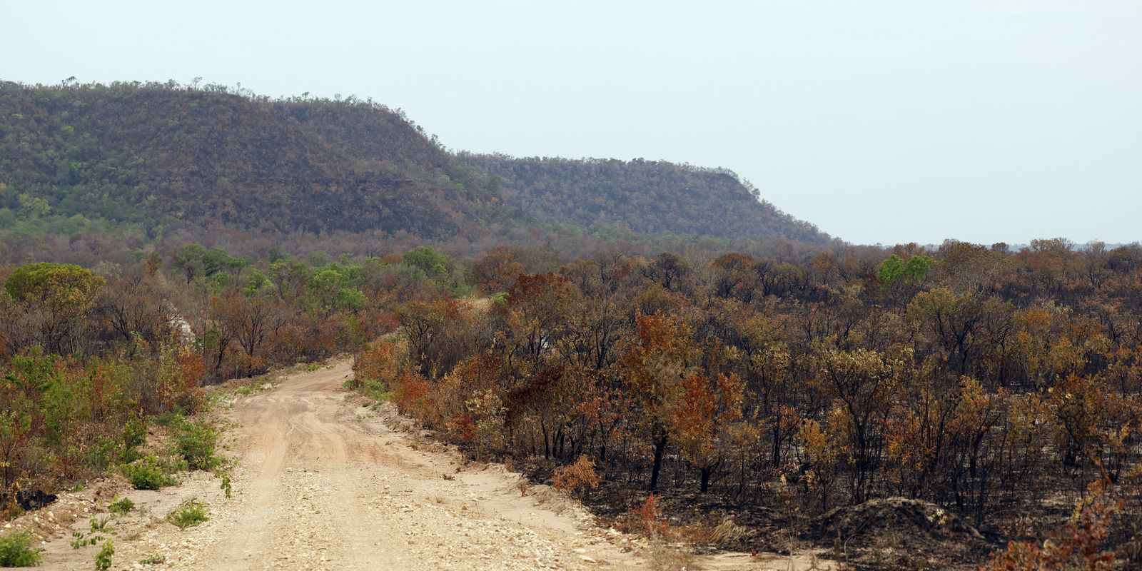 MapBiomas: Brasil perde vegetação nativa e aumenta vulnerabilidade ao El Niño