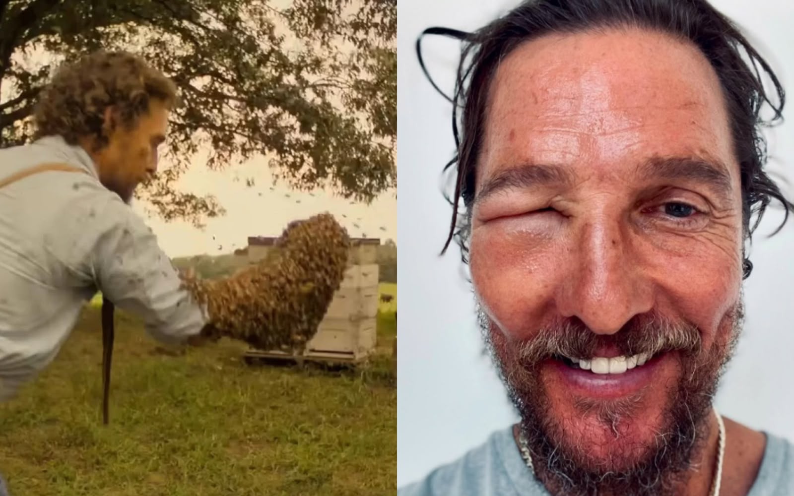 Matthew McConaughey descobre alergia a abelhas durante filmagens de novo longa