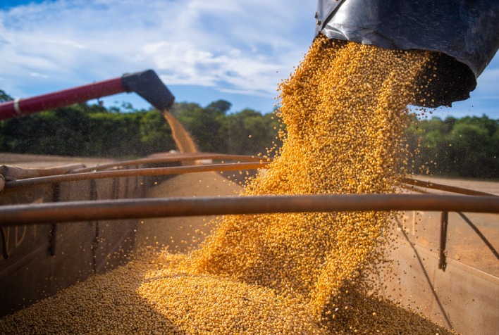 Mercado da soja no Brasil enfrenta lentidão com produtores cautelosos e clima favorável nos EUA