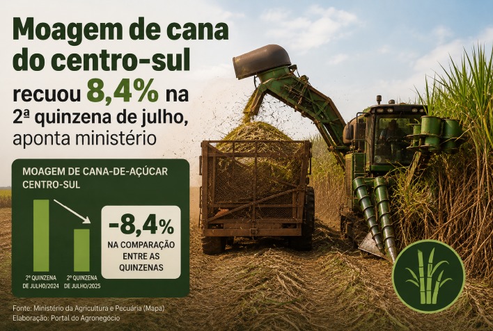 Moagem de cana no Centro-Sul cai 8,4% e produção de etanol avança 2,8%
