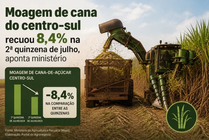 Moagem de cana no Centro-Sul cai 8,4% e produção de etanol avança 2,8%