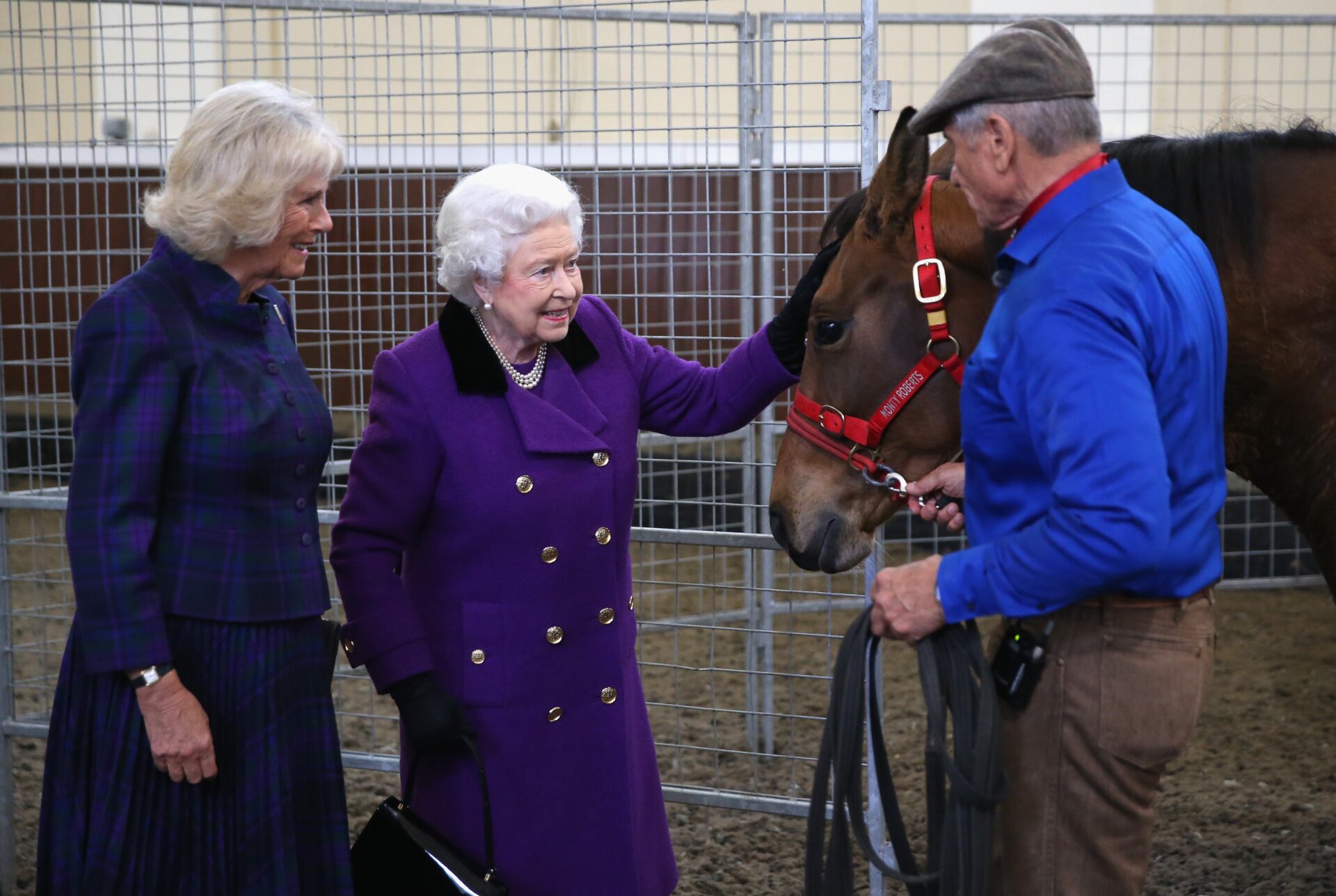 Morre Monty Roberts, o 'homem que ouvia os cavalos', aos 91 anos na Califórnia
