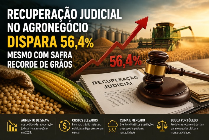 Pedidos de recuperação judicial no agronegócio crescem 56,4% em 2025