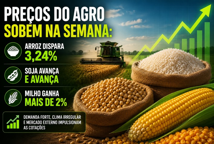 Preços do agro sobem: arroz avança 3,24%, soja e milho também valorizam