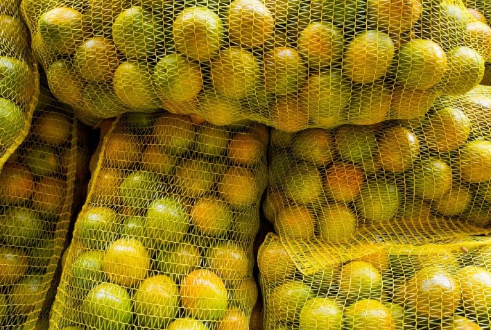 Queda nos preços da laranja e suco marca início da safra 2026/27 no Brasil