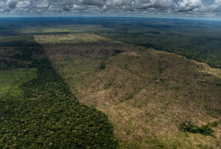 STF valida Moratória da Soja e promove pacificação entre produtores e tradings