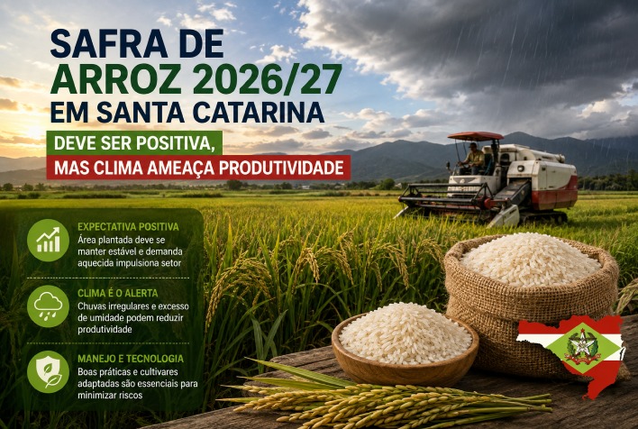 Safra de arroz 2026/27 em Santa Catarina tem expectativa positiva, mas clima preocupa