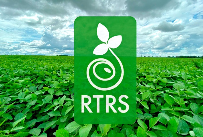 Soja brasileira avança com certificação RTRS e fortalece liderança global
