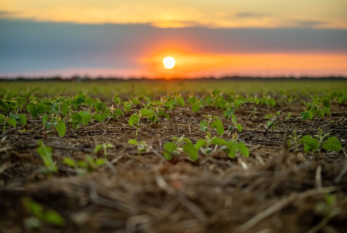 Super El Niño alerta produtores e exige planejamento antecipado para safra 2026/27