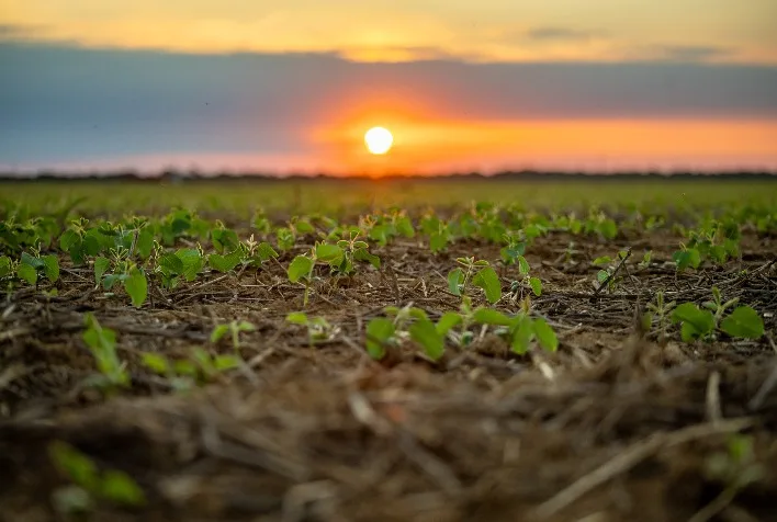 Super El Niño alerta produtores e exige planejamento antecipado para safra 2026/27