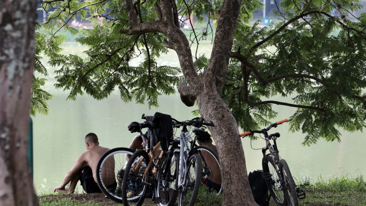 Temperaturas em São Paulo devem subir e chegar a 30ºC no fim de semana