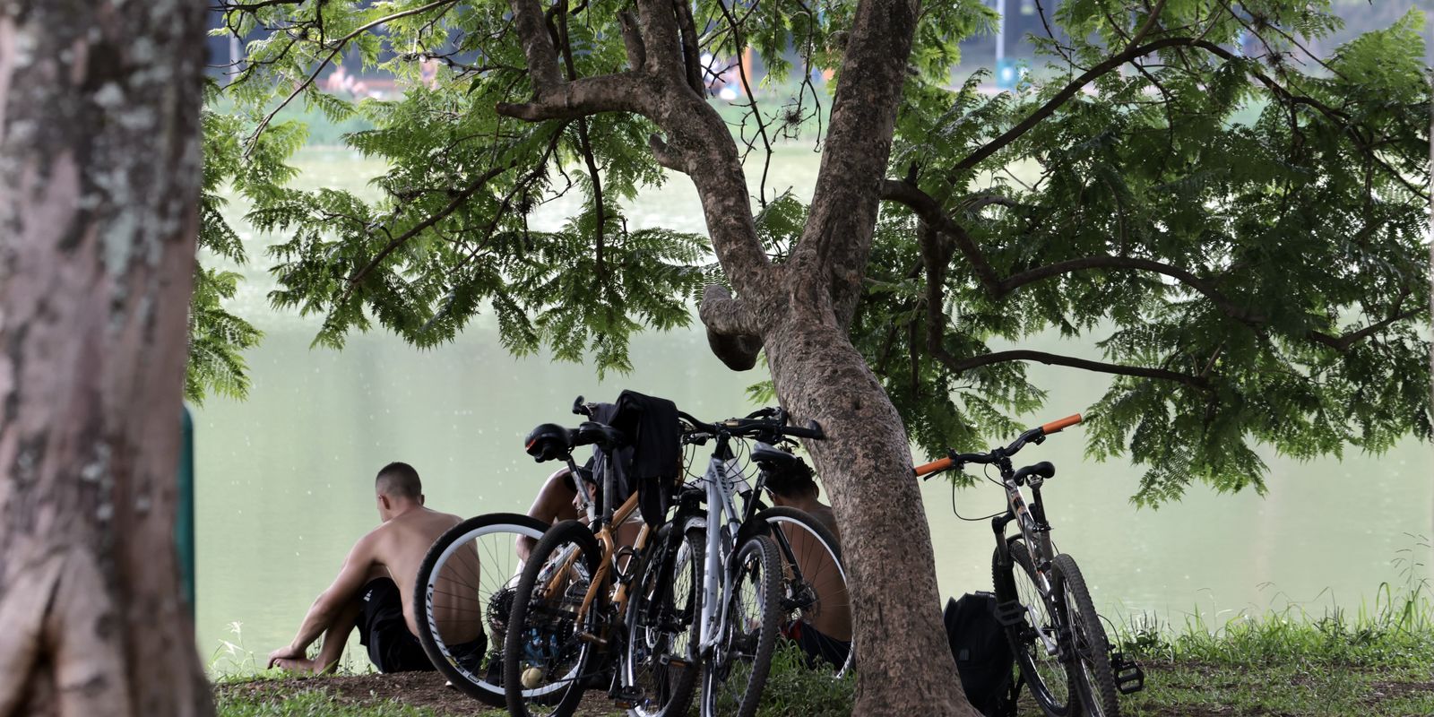 Temperaturas em São Paulo devem subir e chegar a 30ºC no fim de semana